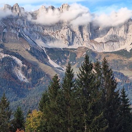 Apartment Unterhollenau Going am Wilden Kaiser Bagian luar foto