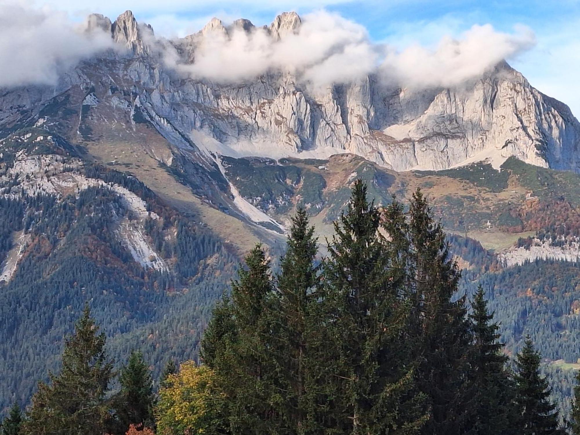 Apartment Unterhollenau Going am Wilden Kaiser Bagian luar foto