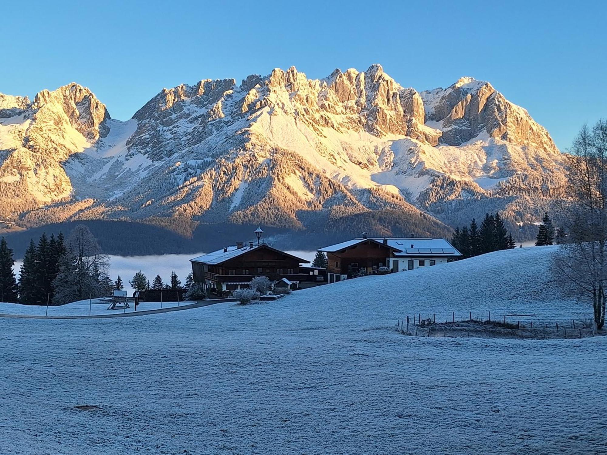 Apartment Unterhollenau Going am Wilden Kaiser Bagian luar foto